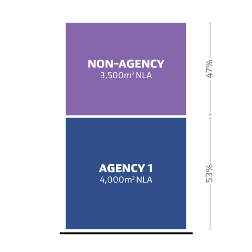 A graph representation of one agency (labelled Agency 1) occupying 45% of the Net Leased Area (NLA) and a non-agency occupying 55% of the Net Leased Area (NLA).